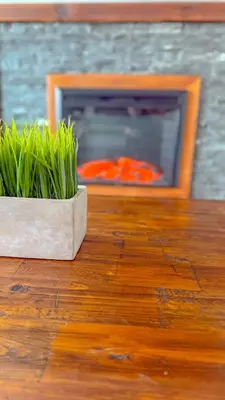 two plants sitting on a wooden table with a fireplace at The Rustic Home Albany NY - 3 Bedroom Private Second Floor Apartment in Albany