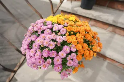 a bouquet of flowers are hanging on a bench at Newark Liberty Brick House - Private Bedroom 1 in Newark