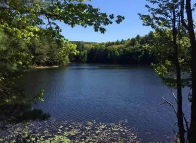 a view of a lake with trees and flowers at Victorian Farmhouse in The Catskills in East Meredith