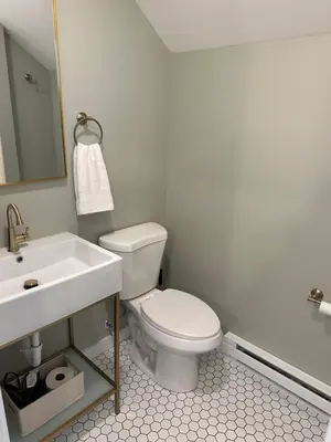 a bathroom with a white toilet and a sink at The Innwoods - Studio Apartment 1 in Tannersville