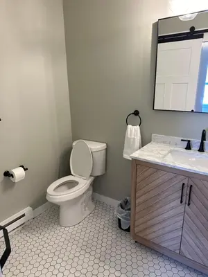a bathroom with a toilet and a sink and a mirror at The Innwoods - Two Bedroom Apartment in Tannersville