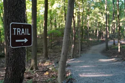 a trail sign on a tree in a forest at Campsite 1 at Moon Valley Campground in Vernon Township