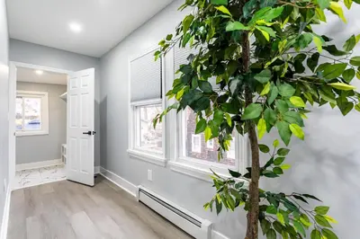 a living room with a tree in the corner at Comfort Meets Style 3BR Plus Parking in New Rochelle