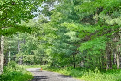 a dirt road with trees on both sides at 3 Mi to Colgate Lake Mtn-View Home, Deck and Grill! in East Jewett