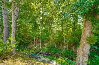 a park bench sitting in the middle of a forest at 1 Mi to Dtwn Beautiful Home in Williamstown! in Williamstown