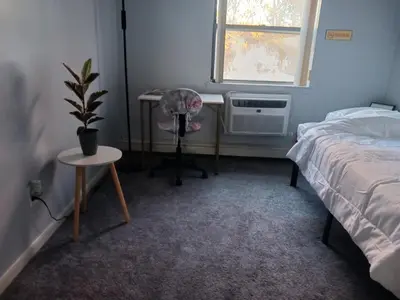 a bedroom with a bed and a table and a plant at Comfy Room in Fresh Meadows in Utopia