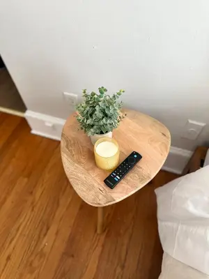 a table with a remote control and a plant on it at Serene Nordic Escape Close to Yale in New Haven