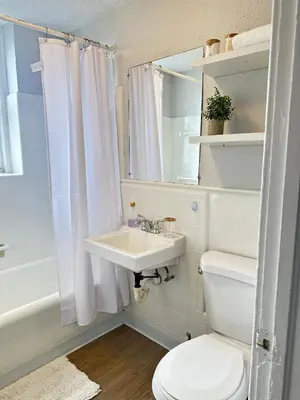 a bathroom with a toilet and a sink and a mirror at Serene Nordic Escape Close to Yale in New Haven