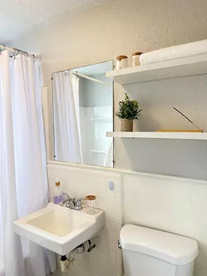 a bathroom with a sink and a toilet and a mirror at Serene Nordic Escape Close to Yale in New Haven