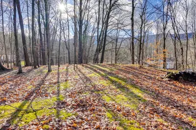 a field with leaves on the ground in the woods at Mtn Views and On-Site Hiking Trails Catskills Cabin in Round Top