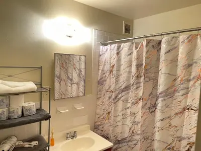 a bathroom with a shower curtain and a sink at One Bedroom by Month Next to Bronx Zoo in West Farms