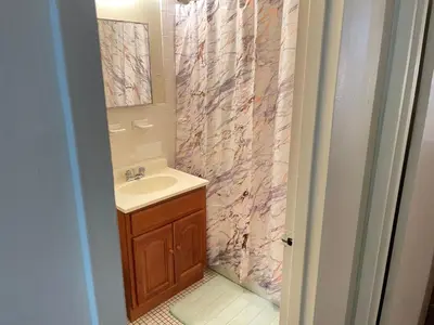 a bathroom with a sink and a shower curtain at One Bedroom by Month Next to Bronx Zoo in West Farms