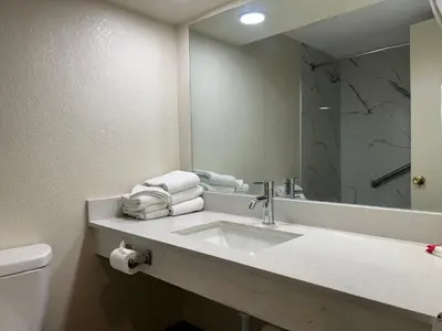 a bathroom with a sink and a mirror and a toilet at Hilltop Inn & Suites in Yonkers