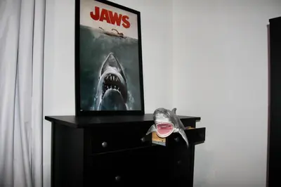 a picture of a shark on top of a dresser at Wooster Square Gems in New Haven