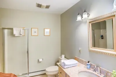 a bathroom with a shower and a toilet and a sink at Less Than 1 Mi to Hunter Mtn Spacious Home with Hot Tub! in Lanesville