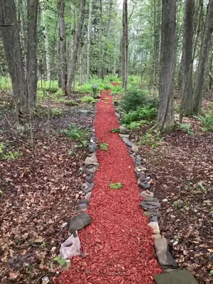 a red path in the woods with trees at Hillsaps Ranch on the Lake in Gouldsboro