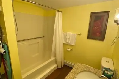 a bathroom with a shower and a toilet and a sink at Cozy Cottage in the Catskills! in Oak Hill