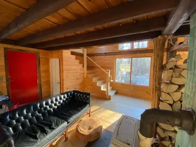 a living room with a leather couch in a cabin at The Glow Room at Indian Hollow in Chesterfield