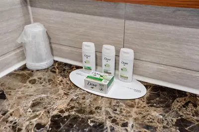 two electric toothbrushes on a scale in a bathroom at Ramada by Wyndham Flushing Queens in Queens