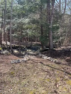 a trail in the woods with trees and rocks at Twin Pines Lake Resort 1 in Northville