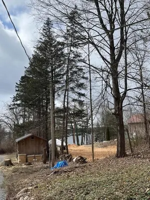 a shed in the middle of a field with trees at Twin Pines Lake Resort 1 in Northville
