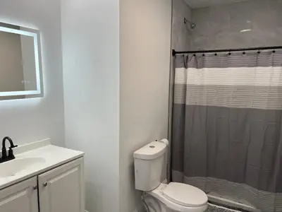 a bathroom with a shower and a toilet and a sink at Twin Pines Lake resort 2 in Northville