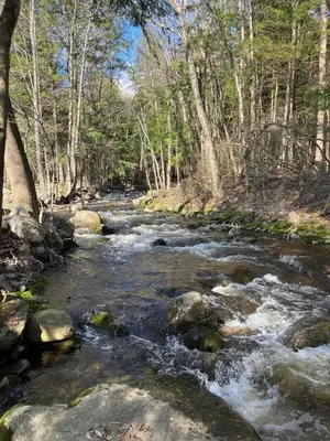 a stream of water with rocks and trees at Twin Pines Lake resort 2 in Northville