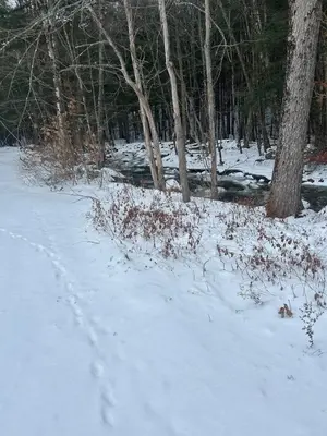 a snow covered field with trees and a trail at Twin Pines Lake resort 2 in Northville
