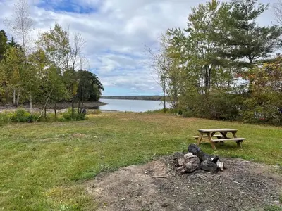 a picnic table in a field next to a lake at Twin pines 3 in Northville