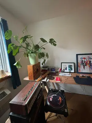 a living room with a table with a plant on it at 4 PEEPS Apt INWILLIAMSBURG in Brooklyn