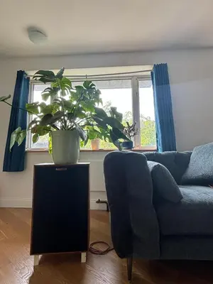 a living room with a blue couch and a potted plant at 4 PEEPS Apt INWILLIAMSBURG in Brooklyn