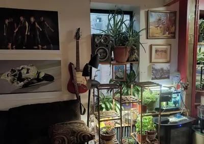 a room with a guitar and some plants and pictures at My apartment in New York