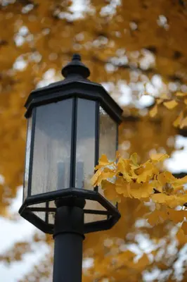 a black street light with yellow leaves on it at The Inn at Crumpin-Fox in Bernardston