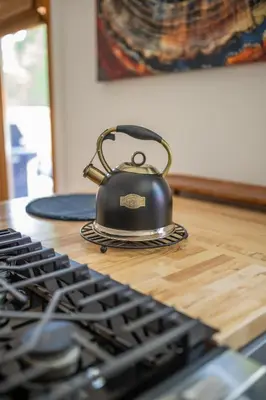 a tea kettle sitting on top of a stove at Sauger home in Saugerties