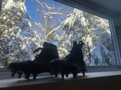 two dogs and a cat sitting on a window sill at Unique and Private 25ft Waterfall House in Hunter in Elka Park
