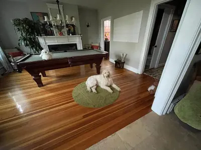 a dog laying on a rug in a living room with a piano at The Historic Jesse Buel Farmhouse w Heated Pool in Albany
