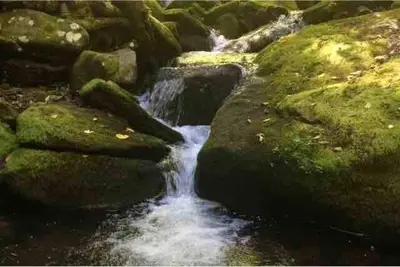 a stream of water flowing between some rocks at Charming home - views of Hunter Mountain slopes in Hunter