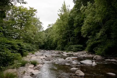 a river with rocks and trees in a forest at The Bend in Phoenicia
