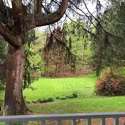 a green yard with a tree and a fence at Charm at the foot of the Berkshires in Hillsdale