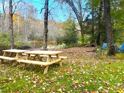 two picnic tables in a park with leaves on the ground at Waterfront Secluded Log Cabin in Beach Lake