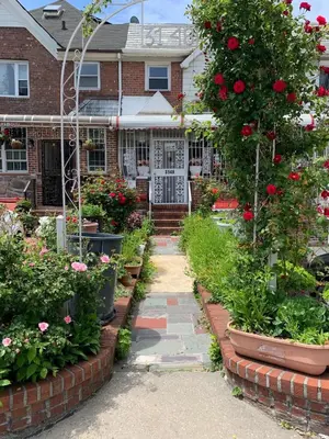 a garden in front of a house with roses at Cheerful 2 BED ROOMS Apartment in heart of Queens in Jackson Heights