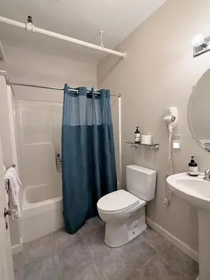 a bathroom with a toilet and a blue shower curtain at The Revival House in Adams