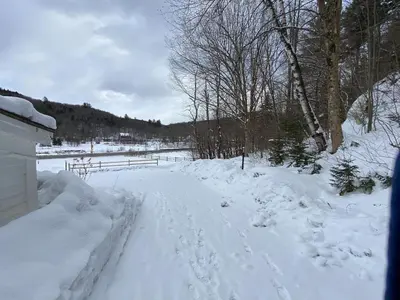a snow covered yard with trees and a fence at Luxury ADA Unit - 101 in Wilmington