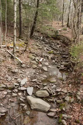 a rocky trail in the woods with rocks and trees at 1894 Catskills Farmhouse Retreat in Tannersville