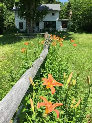 a wooden fence with orange flowers in a yard at 1894 Catskills Farmhouse Retreat in Tannersville