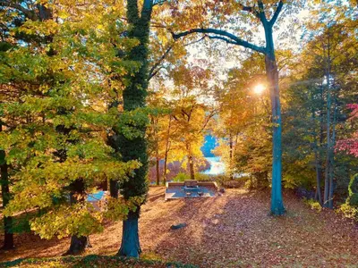 a park with a bench in the middle of trees at 16 A COZY GETAWAY 4BED 3BATH HOME W FIRE PIT in Southington