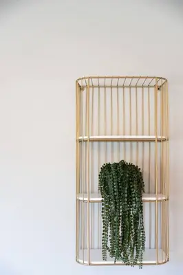 a metal rack with a green plant in it at 2 Beautiful 1 BR Apartment - Central CT in Plainville