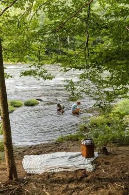 a group of people swimming in a river at Perch Cottages #7 - Creek Access, Sauna, Mt views in Boiceville