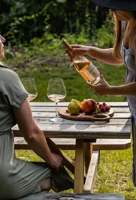two people sitting at a picnic table with wine glasses at Perch Cottages #7 - Creek Access, Sauna, Mt views in Boiceville