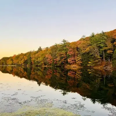 Peaceful Catskills Creek House